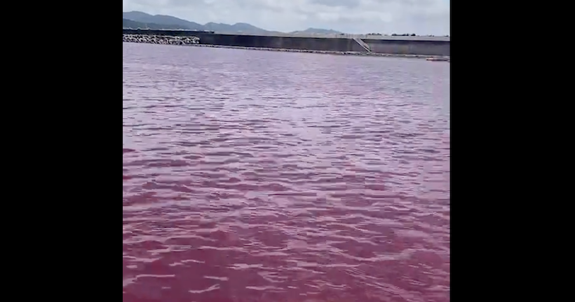 Pourquoi un lac est-il devenu rouge sang au Japon ?