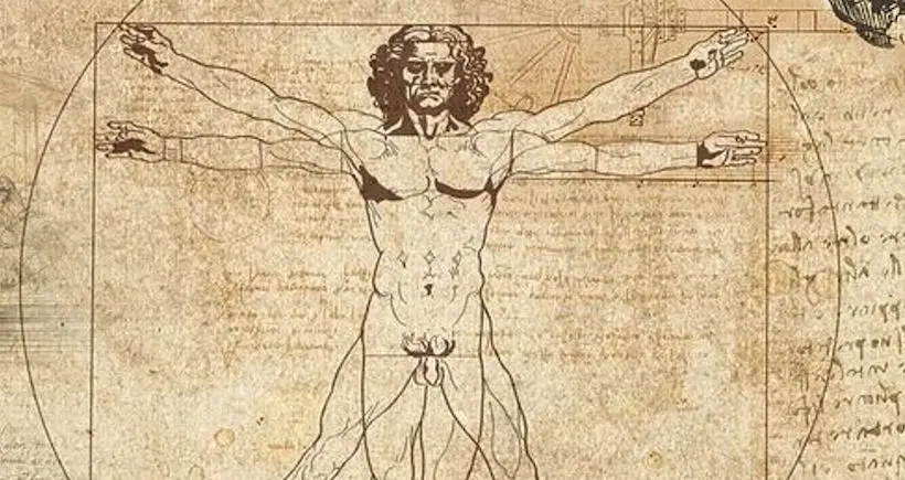 Muscles, cadavres et scalpels : lumière sur les dessins anatomiques de Léonard de Vinci