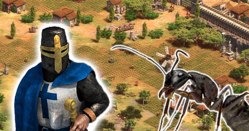 Des scientifiques ont utilisé des vraies fourmis et Age of Empires pour expérimenter des stratégies militaires