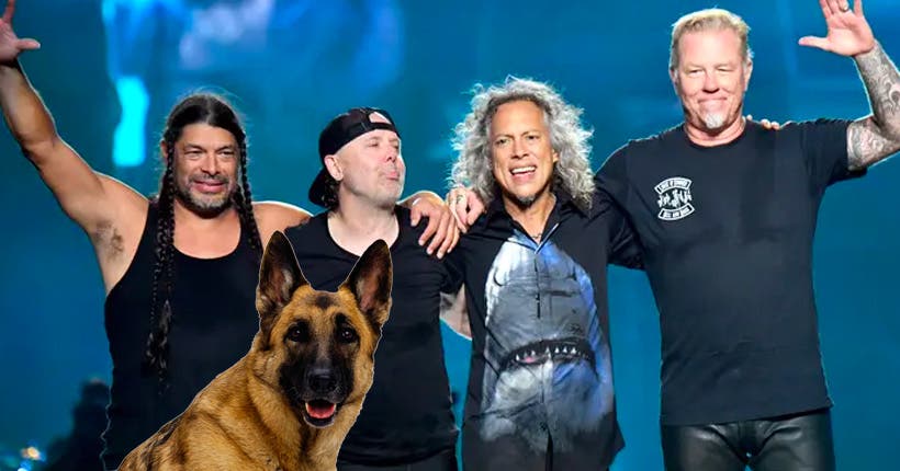 Un chien s’enfuit de chez lui pour assister au concert COMPLET de Metallica