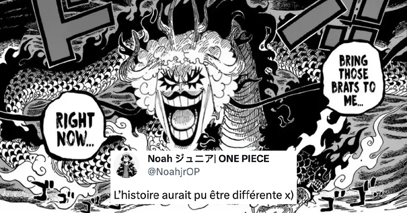 One Piece chapitre 1096 : le grand n’importe quoi des réseaux sociaux