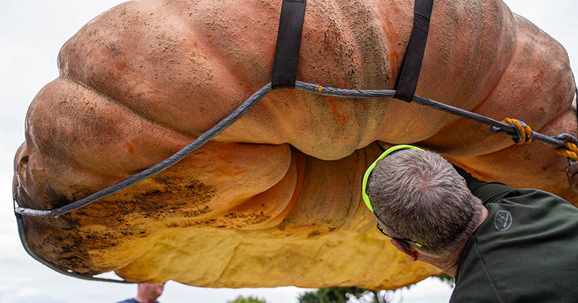 <p>(© Half Moon Bay’s World Championship Pumpkin Weigh-Off / AFP)</p>
