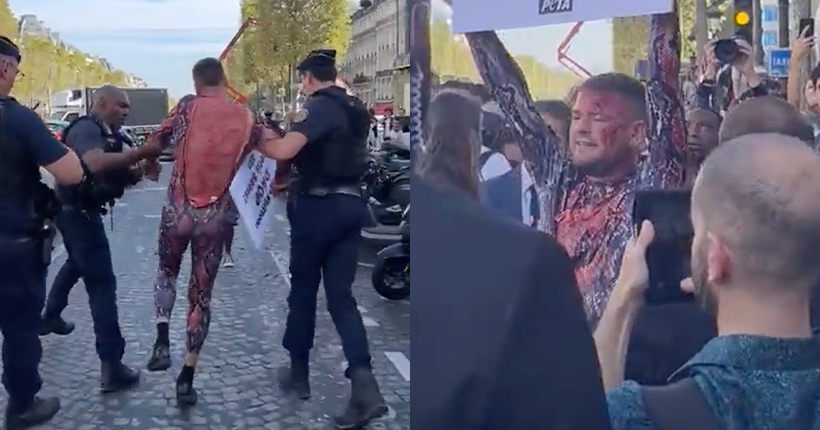 Jeremstar en peau de bête menotté par la police chez Louis Vuitton ? On vous raconte tout