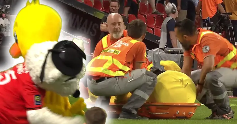 Oups, la mascotte de Rennes a mis KO la mascotte de Nantes lors du derby de football
