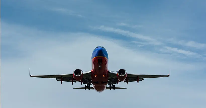 Un cheval s’échappe de son box en plein vol et oblige un Boeing 747 à faire demi-tour