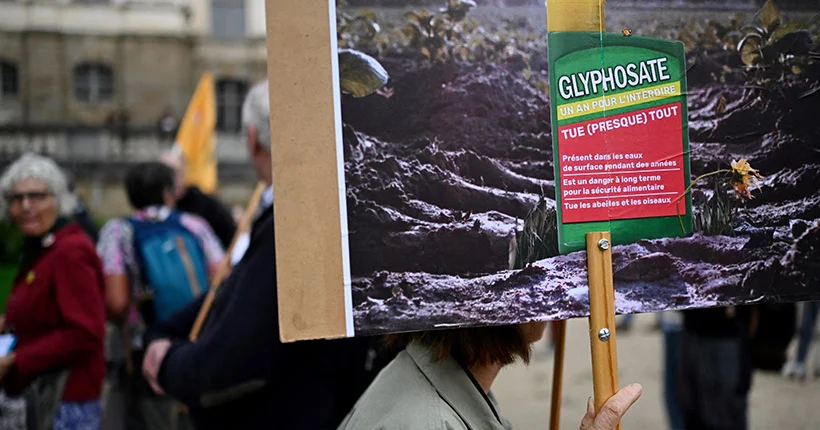 10 ans de plus : la Commission européenne va renouveler l’autorisation du glyphosate dans l’UE