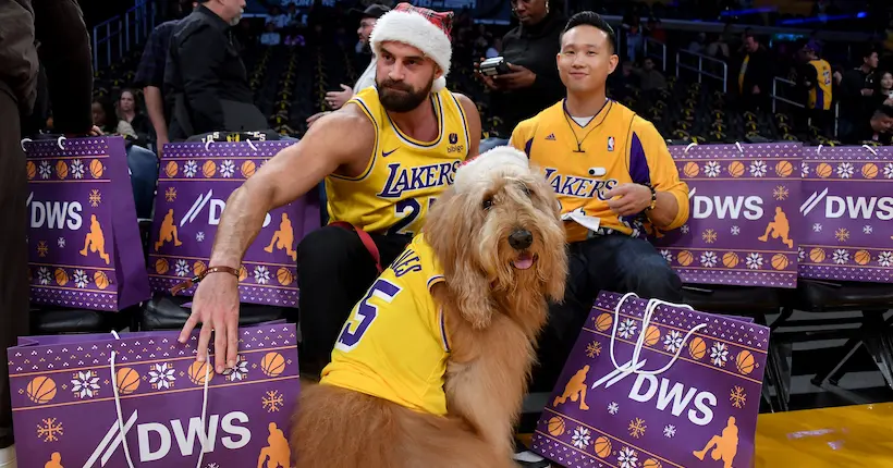 Woof : un chien assiste à un match des Los Angeles Lakers au premier rang (et c’est le chouchou du public)