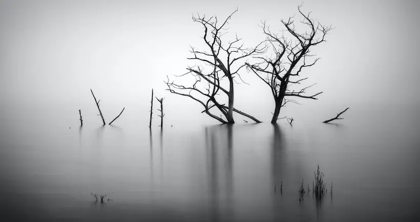 Cette exposition prouve que la photographie en noir et blanc “n’est pas morte”