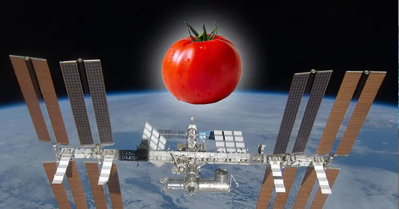 Des astronautes ont (enfin) retrouvé une tomate disparue dans l’espace depuis huit mois