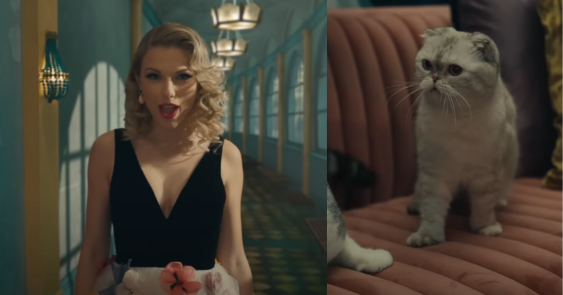 Le chat de Taylor Swift vaudrait 97 millions de dollars (et son mec, même pas la moitié)
