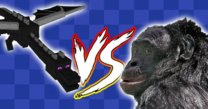Oui, un singe bonobo vient littéralement de finir Minecraft