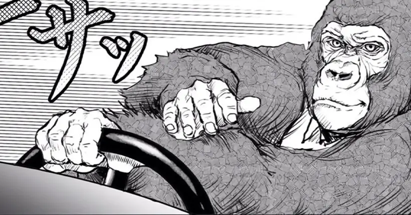 On a lu alors vous allez lire : un manga sur un séduisant gorille qui sauve les gens et passe son permis (il est très séduisant)