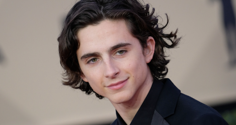 Timothée Chalamet aimerait créer son propre MCU (Musical Cinematic Universe)