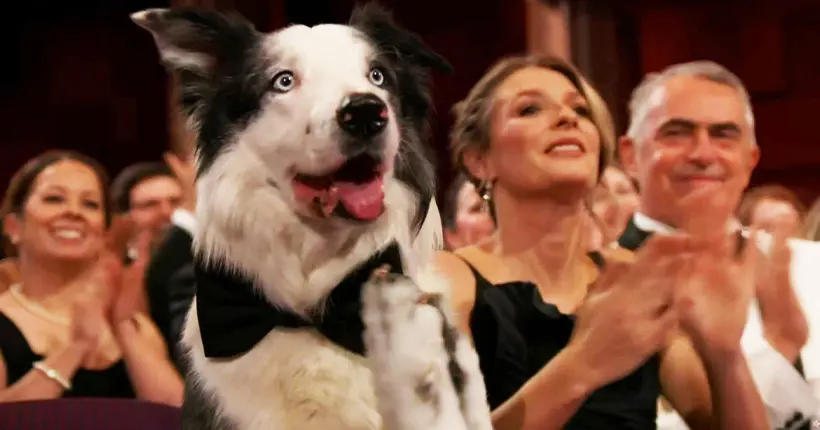 Oscars 2024 : Messi, le chien d’Anatomie d’une chute, a-t-il vraiment applaudi ?