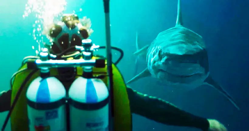 Un gros requin fout la merde dans le premier trailer du film Netflix Sous la Seine