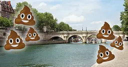 Mais pourquoi Internet veut chier dans la Seine le 23 juin ?