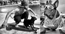 Chiens skateurs ou bling-bling : Dotan Saguy immortalise les chiots les plus stylés de Venice Beach