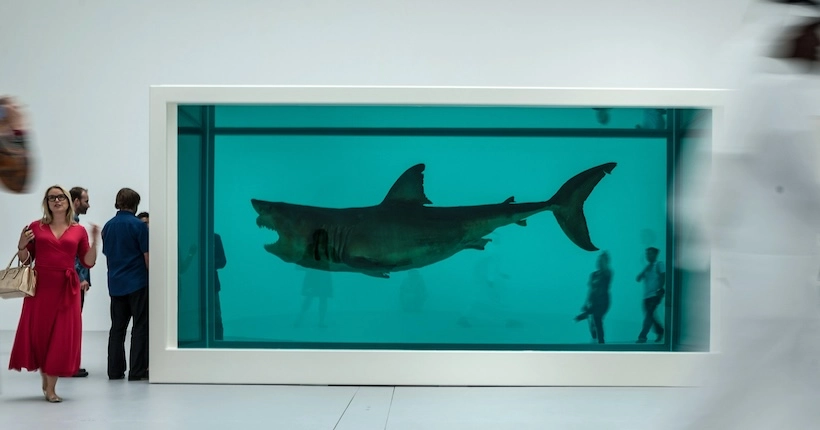 Le jour où l’artiste Damien Hirst a plongé un requin dans du formol pour exorciser sa peur de la mort
