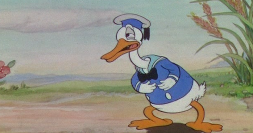 La première fois qu’apparaissait Donald Duck, c’était il y a 90 ans dans le court-métrage Une petite poule avisée