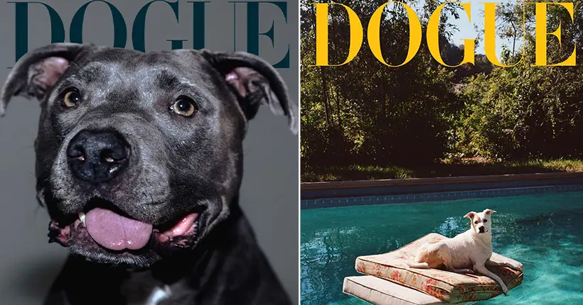 Billie Eilish, Demi Moore, Mariah Carey… Les chiens cool de nos stars préf sont célébrés en une de Vogue