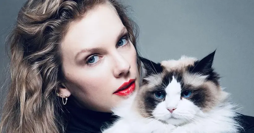 Un chat et de l’IA : pourquoi Taylor Swift soutient officiellement Kamala Harris