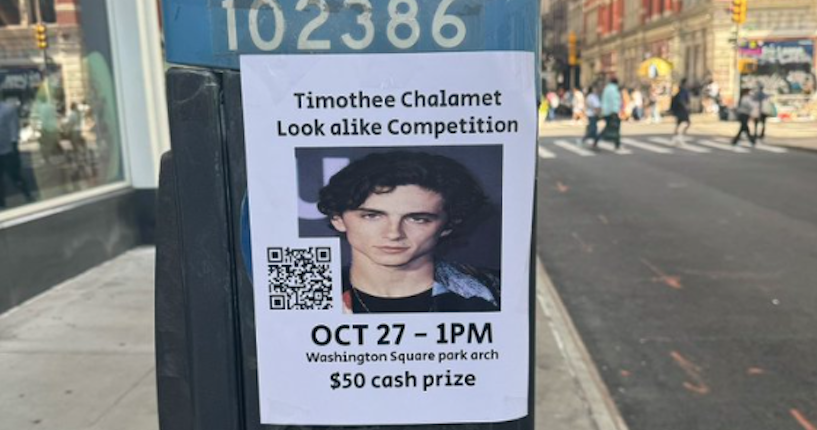 “Rat boyfriends”, c’est le moment de briller : un concours de sosies de Timothée Chalamet est organisé à New York