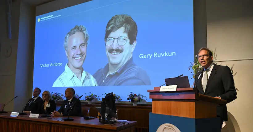 Qui sont Victor Ambros et Gary Ruvkun, les deux chercheurs qui viennent de remporter le prix Nobel de médecine pour la découverte des microARN ?