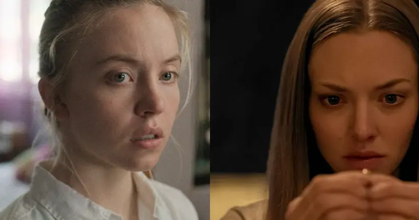 Sydney Sweeney et Amanda Seyfried joueront dans l’adaptation de La femme de ménage aka le livre viral sur TikTok