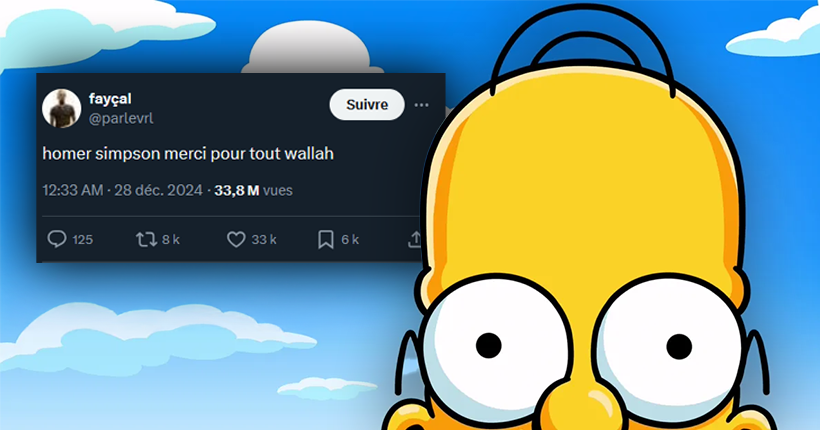 Homer Simpson est le héros de notre génération : Le grand n’importe quoi des réseaux sociaux