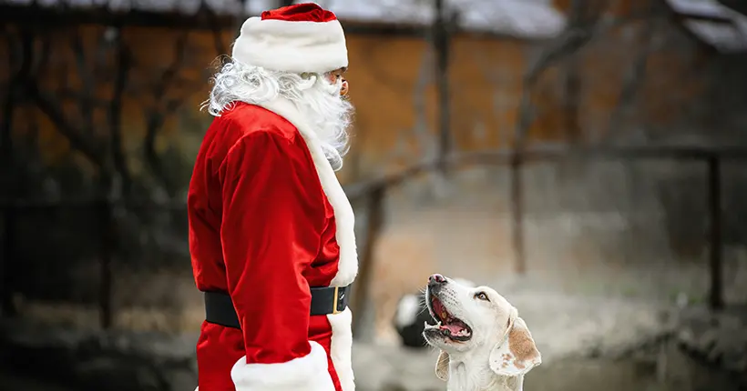 C’est quoi cette histoire d’arrêté municipal contre le “burn-out” du Père Noël ?