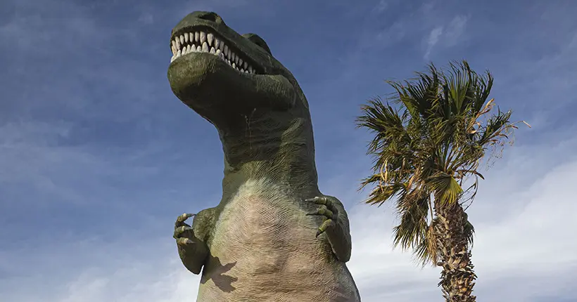 Mais c’est quoi, cette histoire d’autoroute de dinosaures ?