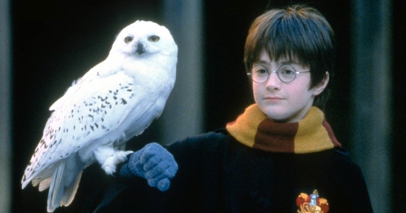 Chris Columbus, le r&eacute;alisateur des deux premiers films Harry Potter, valide le reboot en s&eacute;rie de la saga