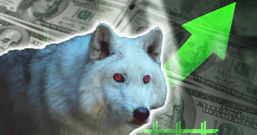 Non, le loup g&eacute;ant n&amp;#8217;a pas &eacute;t&eacute; &amp;#8220;ressuscit&eacute;&amp;#8221;, c&amp;#8217;est surtout un coup de comm&amp;#8217;