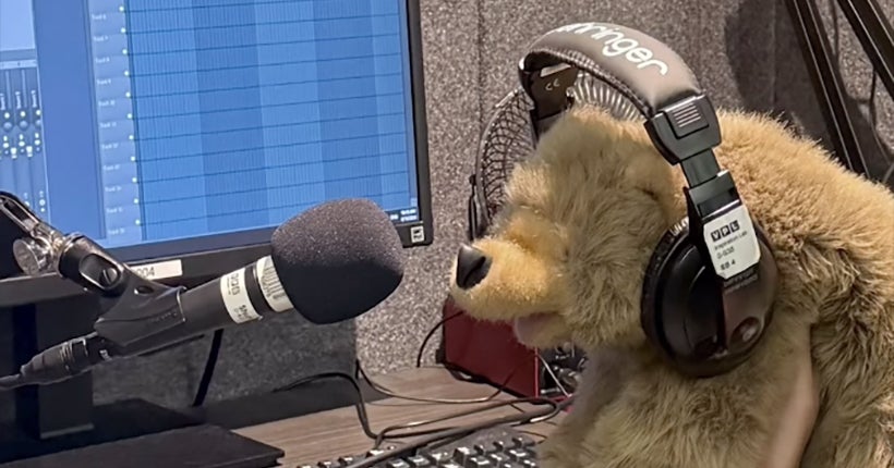 Cet ours en peluche oubli&eacute; &agrave; la biblioth&egrave;que de Vancouver a v&eacute;cu la meilleure journ&eacute;e de sa vie