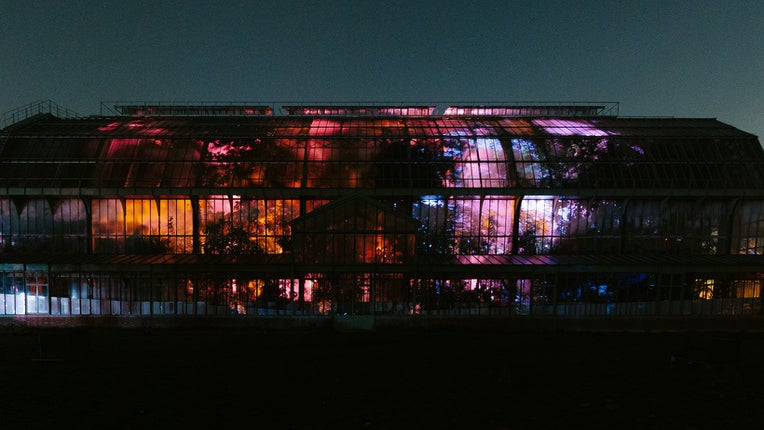 Aurores bor&eacute;ales, volcans et fonds marins : &agrave; la tomb&eacute;e de la nuit, le Jardin des Plantes s&rsquo;illumine