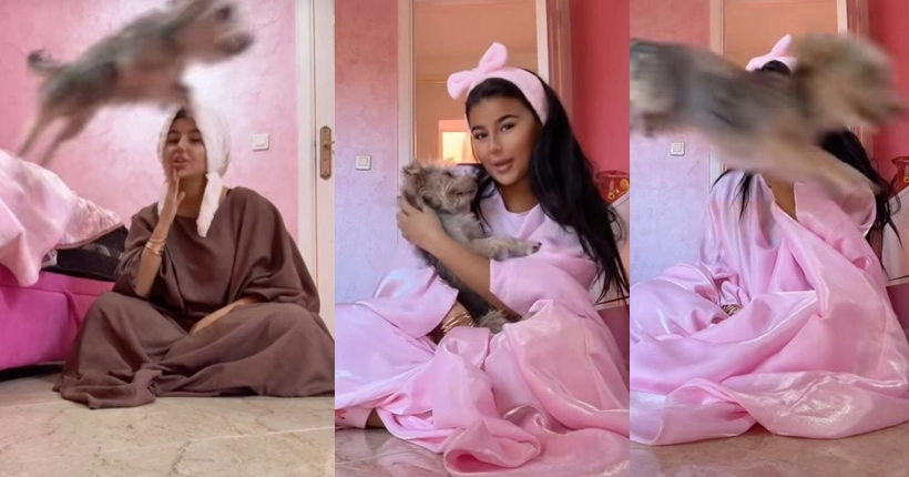 Même Jacques, le chien star de Tiktok, va se marier avant nous…