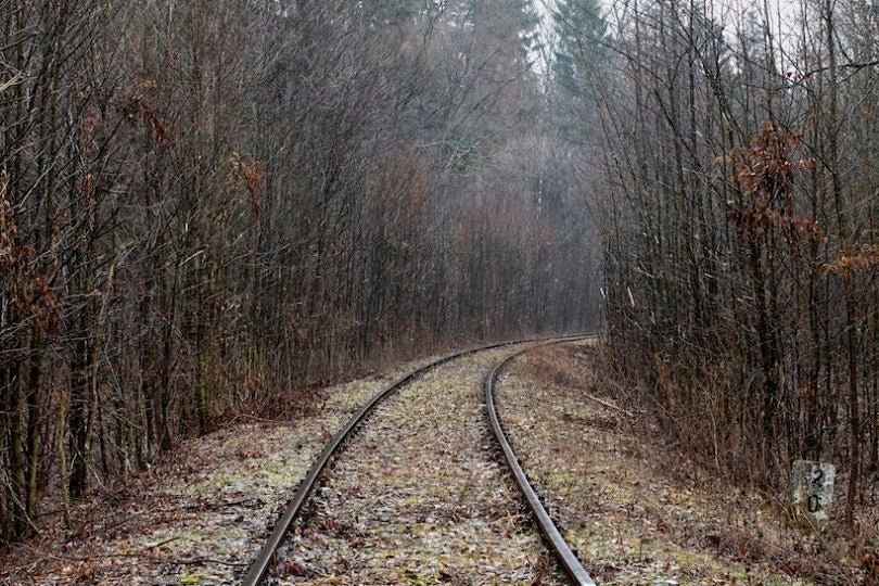 State Rail System © Brian Griffin 2015