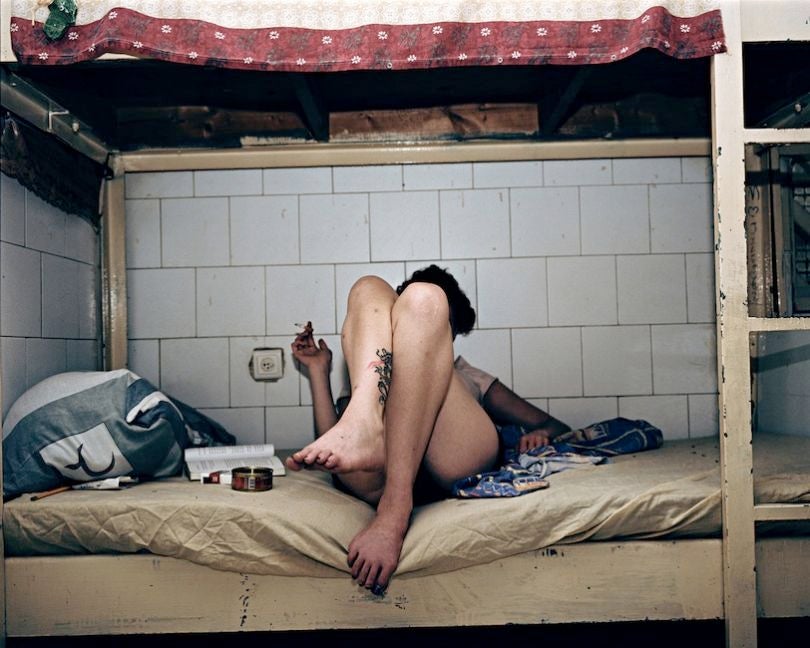 (Tomer Ifrah)
