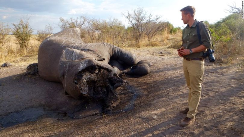 Au Botswana, les carcasse d'éléphants braconnés s'étalent sur des kilomètres (© CNN)