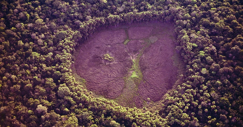 Cette association veut planter 73 millions d’arbres en Amazonie